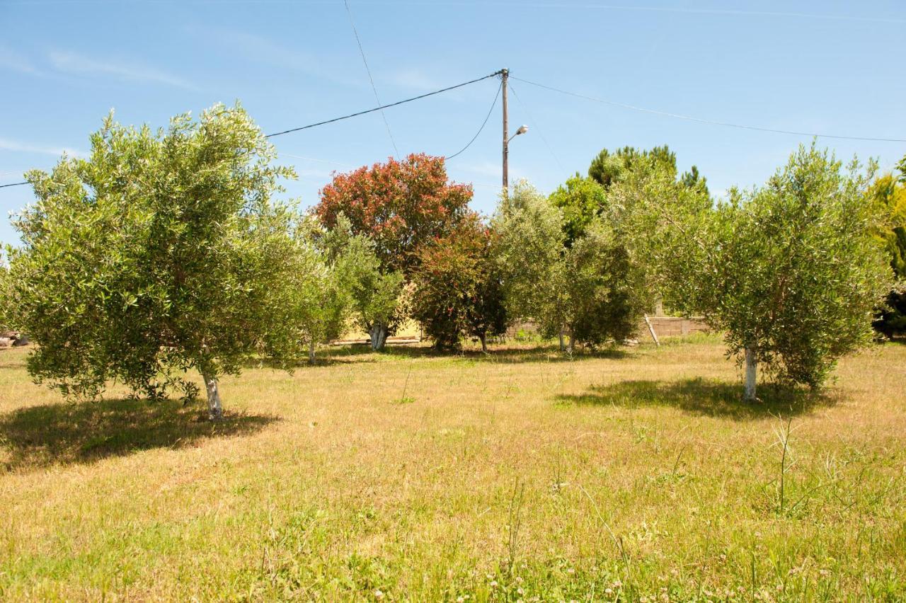 Olives Estate Apartments Grande Preveza Eksteriør bilde