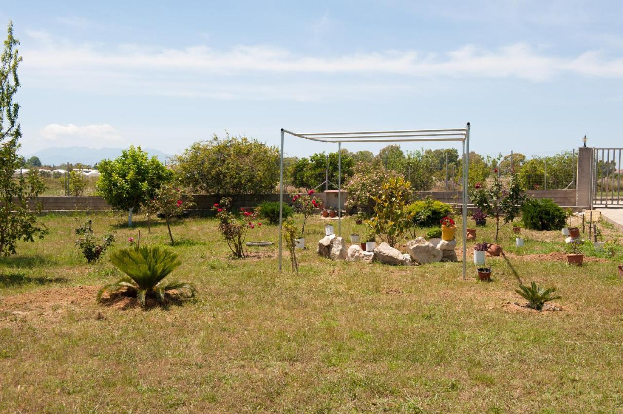 Olives Estate Apartments Grande Preveza Eksteriør bilde