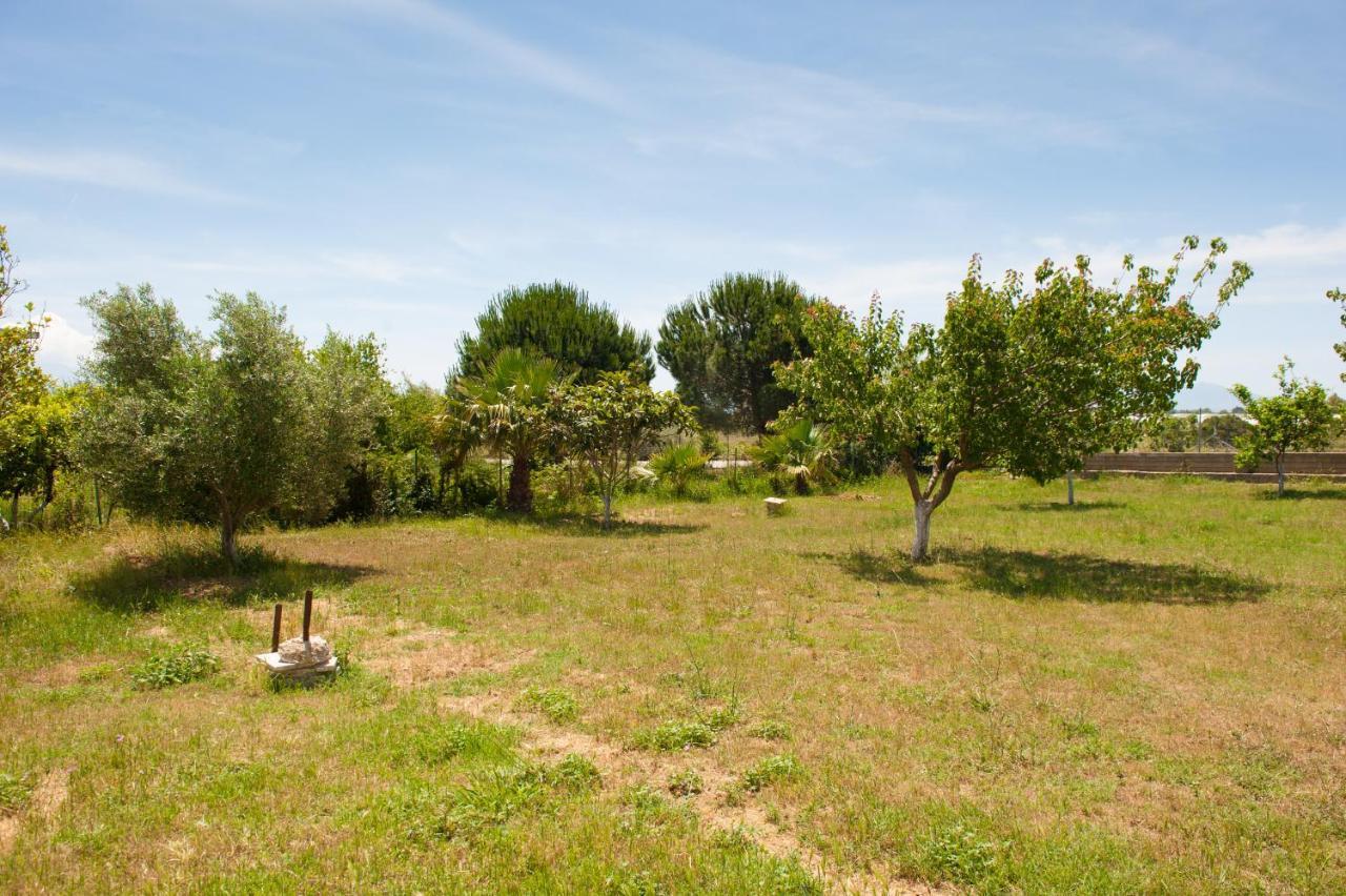 Olives Estate Apartments Grande Preveza Eksteriør bilde