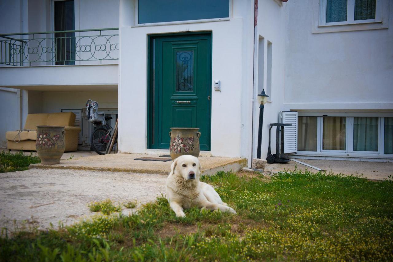 Olives Estate Apartments Grande Preveza Eksteriør bilde